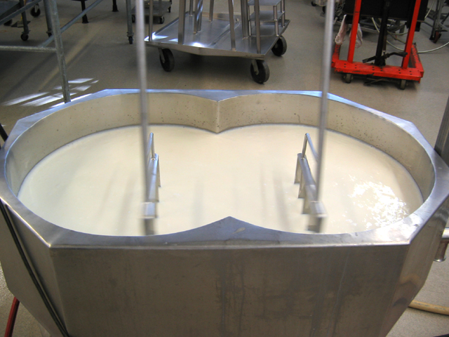 Milk being processed; pasteurization is now a routine step in dairy production.