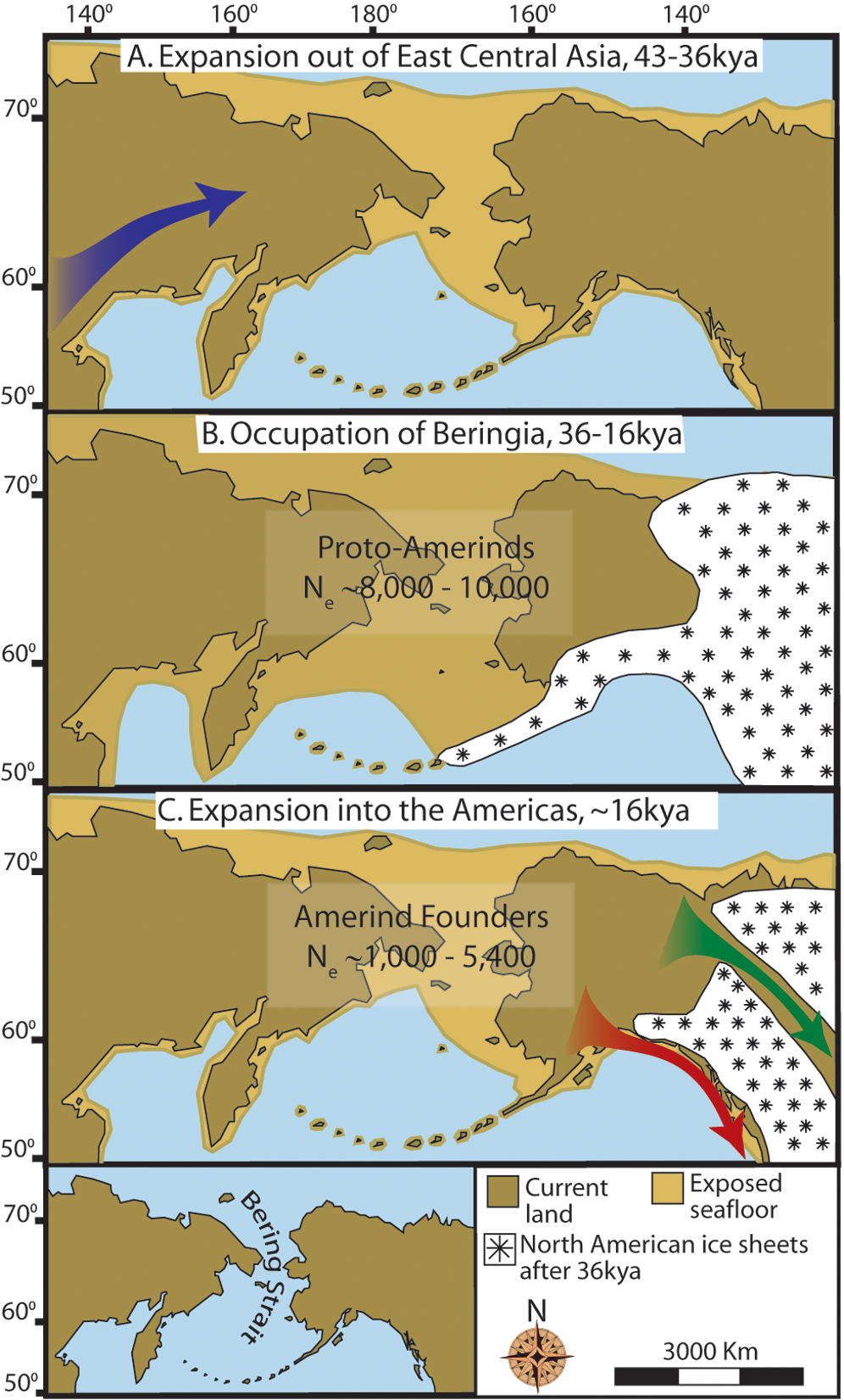 A map of Beringia, the ice age land bridge that linked Asia to the Americas.