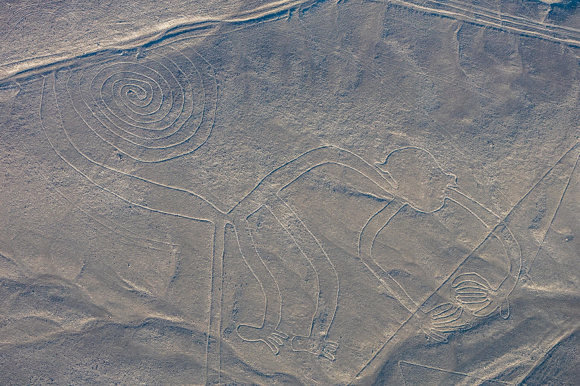 The Monkey, one of the giant Nazca Lines etched into the desert more than 1500 years ago and best seen from the air.