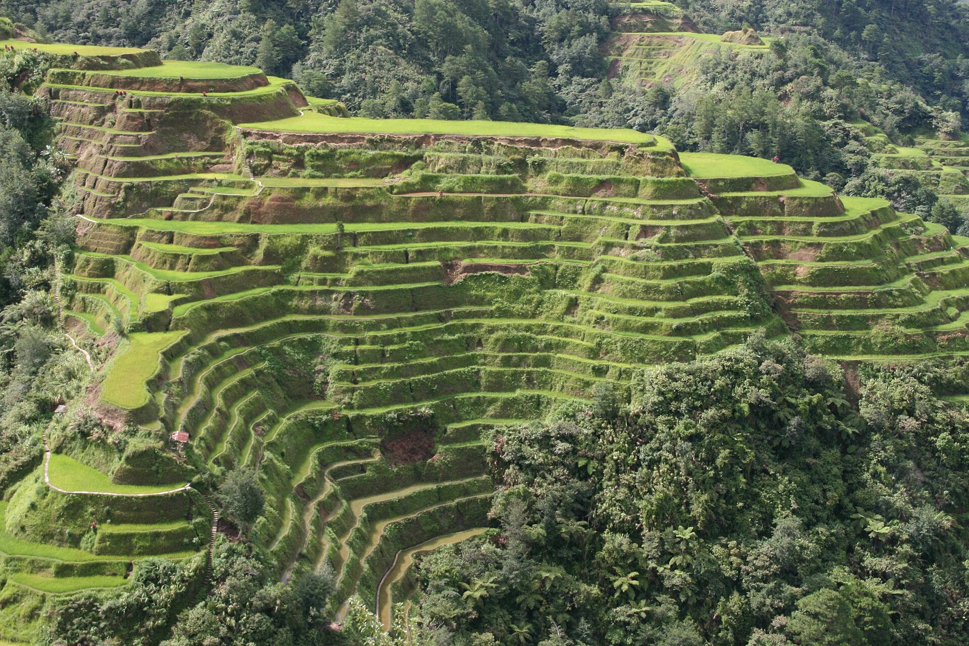The Banaue Rice Terraces in the mountains of Luzon, carved into the slopes by the Ifugao people over two thousand years. They are a striking symbol of the country's ancient farming heritage.