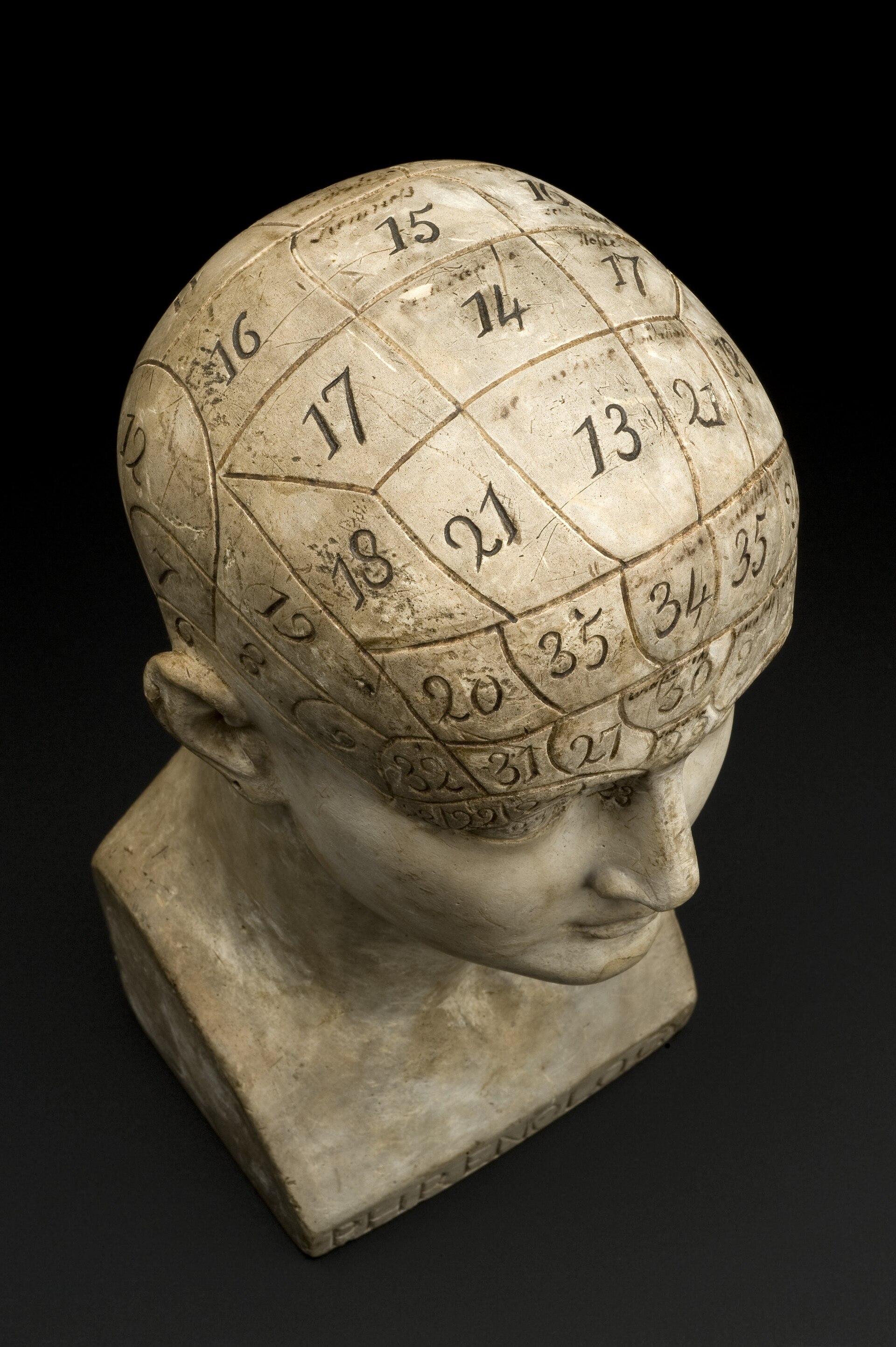 A numbered phrenological bust, mapping traits to regions of the skull that mean nothing.