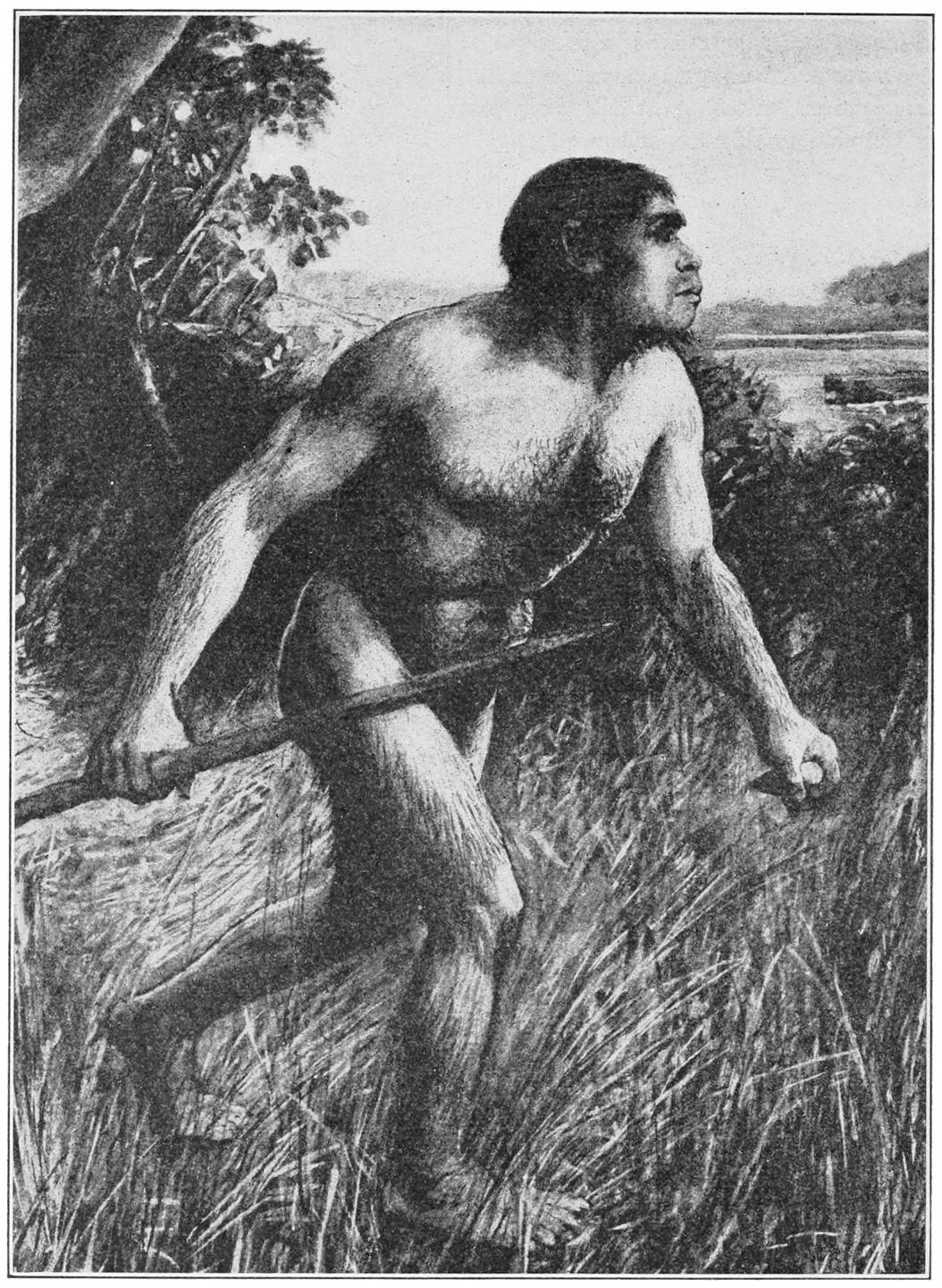 An early reconstruction of the supposed ancestor, later shown to be assembled from a hoax.