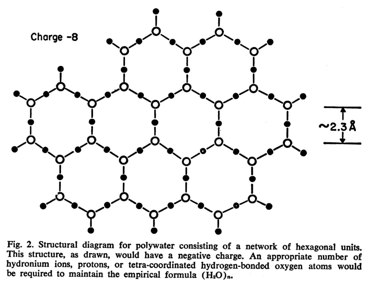 The polymeric structure proposed for polywater in 1969. A structural model published in a leading journal marked the point where an anomalous measurement had become an accepted substance with a proposed mechanism.