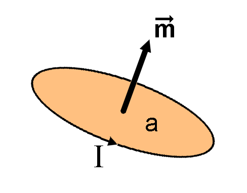 A magnetic moment in a field. Spin produces a magnetic moment, which is what allows it to be manipulated and detected.