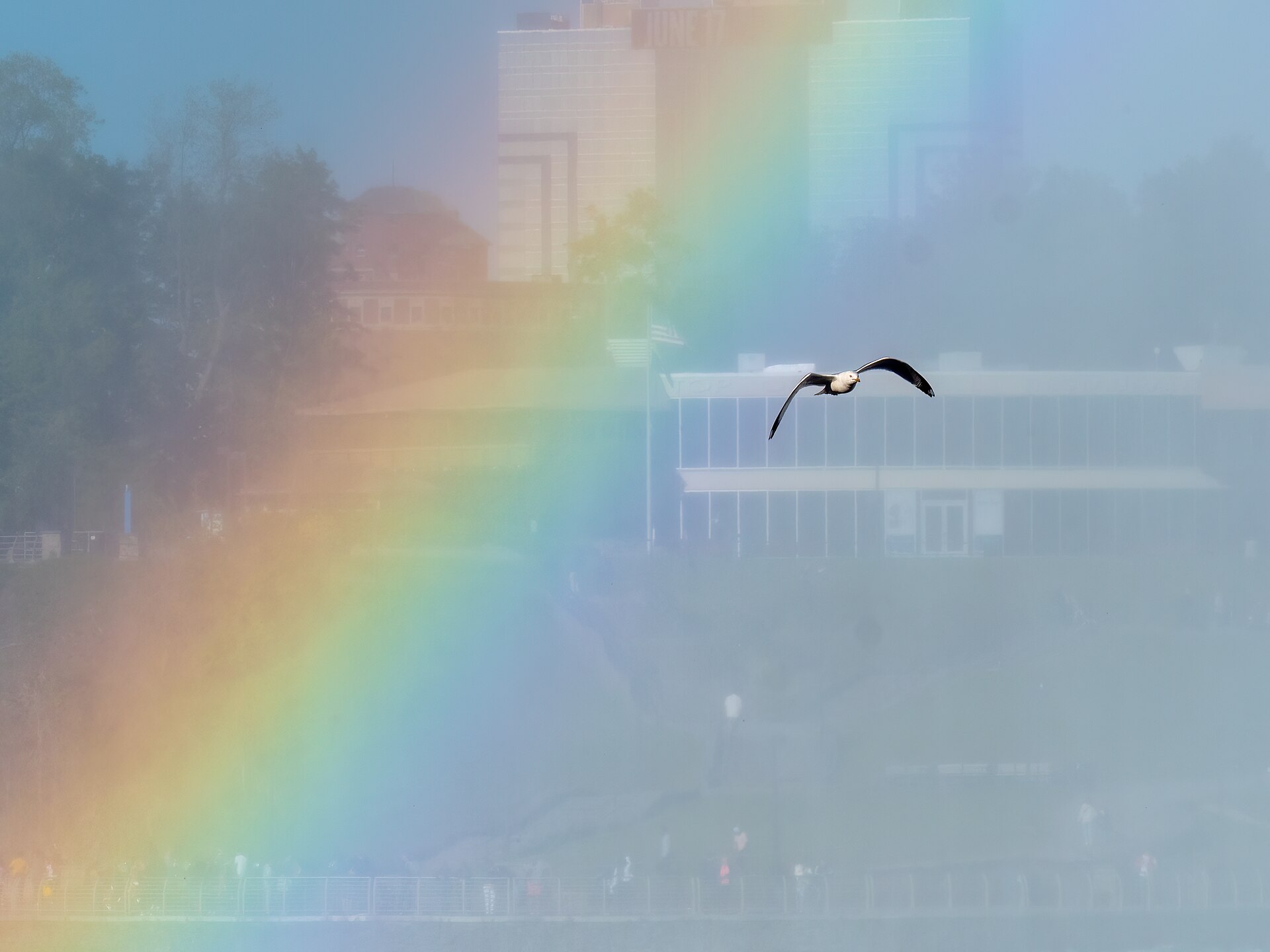 A bright rainbow arcing across the sky, formed by sunlight passing through distant rain. Credit: Rhododendrites (CC BY-SA 4.0).