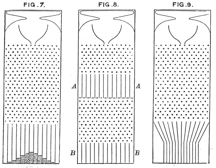 Galton's quincunx, which he built to demonstrate how a distribution arises from accumulated small chance effects. The device made visible the mechanism behind the pattern he had found in his heredity data.