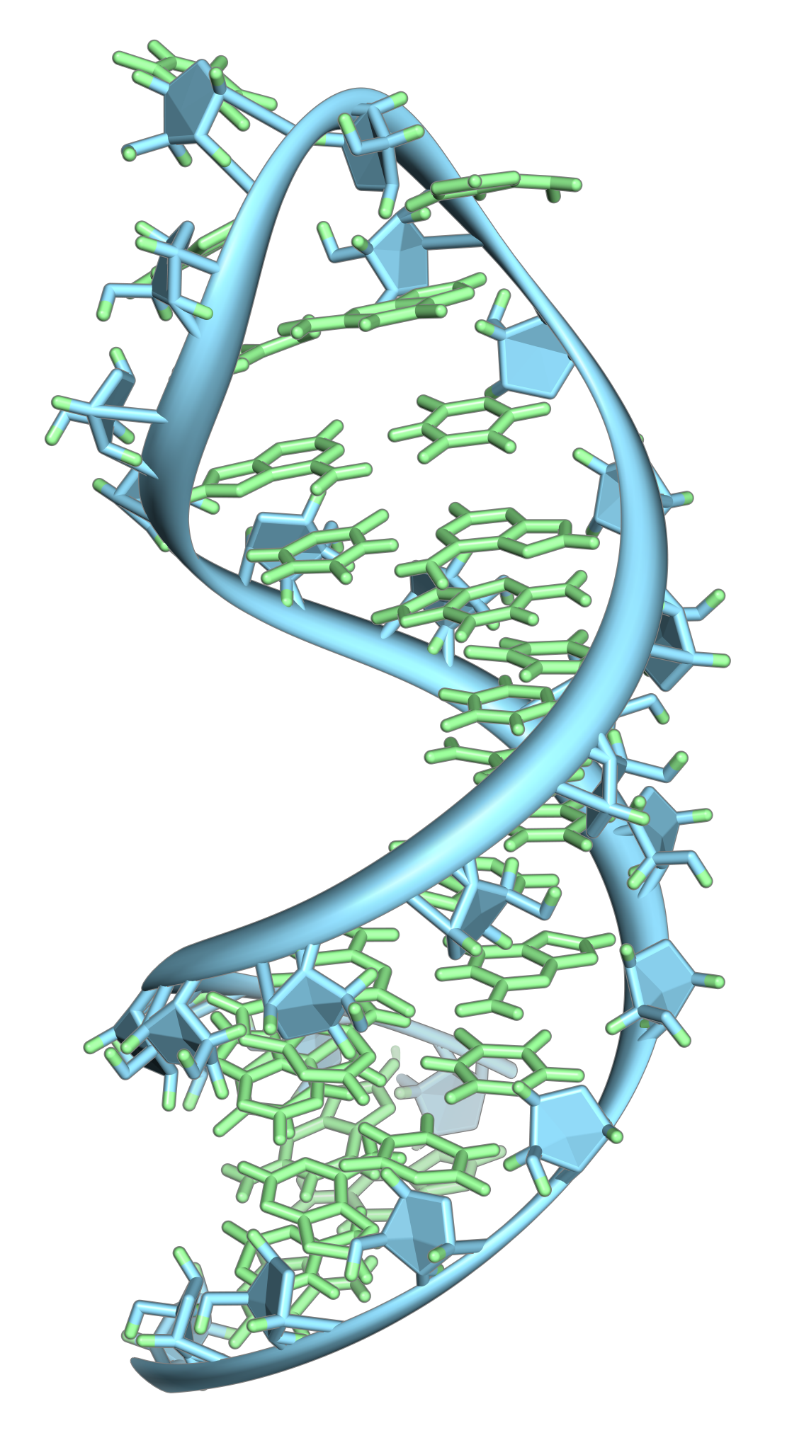 An RNA molecule. Its dual capacity to store information and to fold into a catalyst is the whole basis of the hypothesis and the reason it has outlasted its competitors.