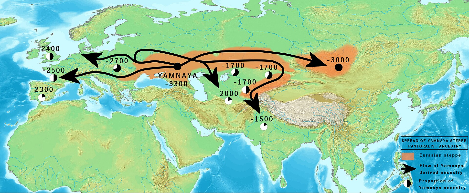 A map of the Bronze Age spread of the Yamnaya steppe peoples. Herders from the grasslands of southern Russia carried their ancestry and languages deep into Europe and Asia thousands of years ago.