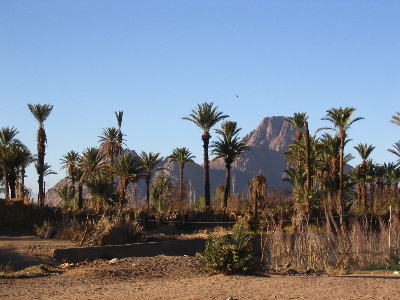 An oasis in the Ahaggar Mountains, where groundwater supports life in the heart of the desert. Credit: Bertrand Devouard ou Florence Devouard (User:Anthere) (CC BY-SA 3.0).
