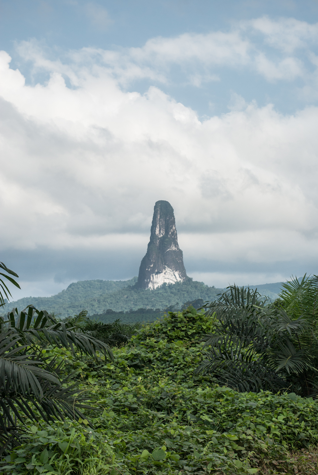 The Pico Cao Grande, a dramatic needle of solidified lava rising sheer from the rainforest of São Tomé. The islands' isolated, humid volcanic environment shelters many species of plant and bird found nowhere else.