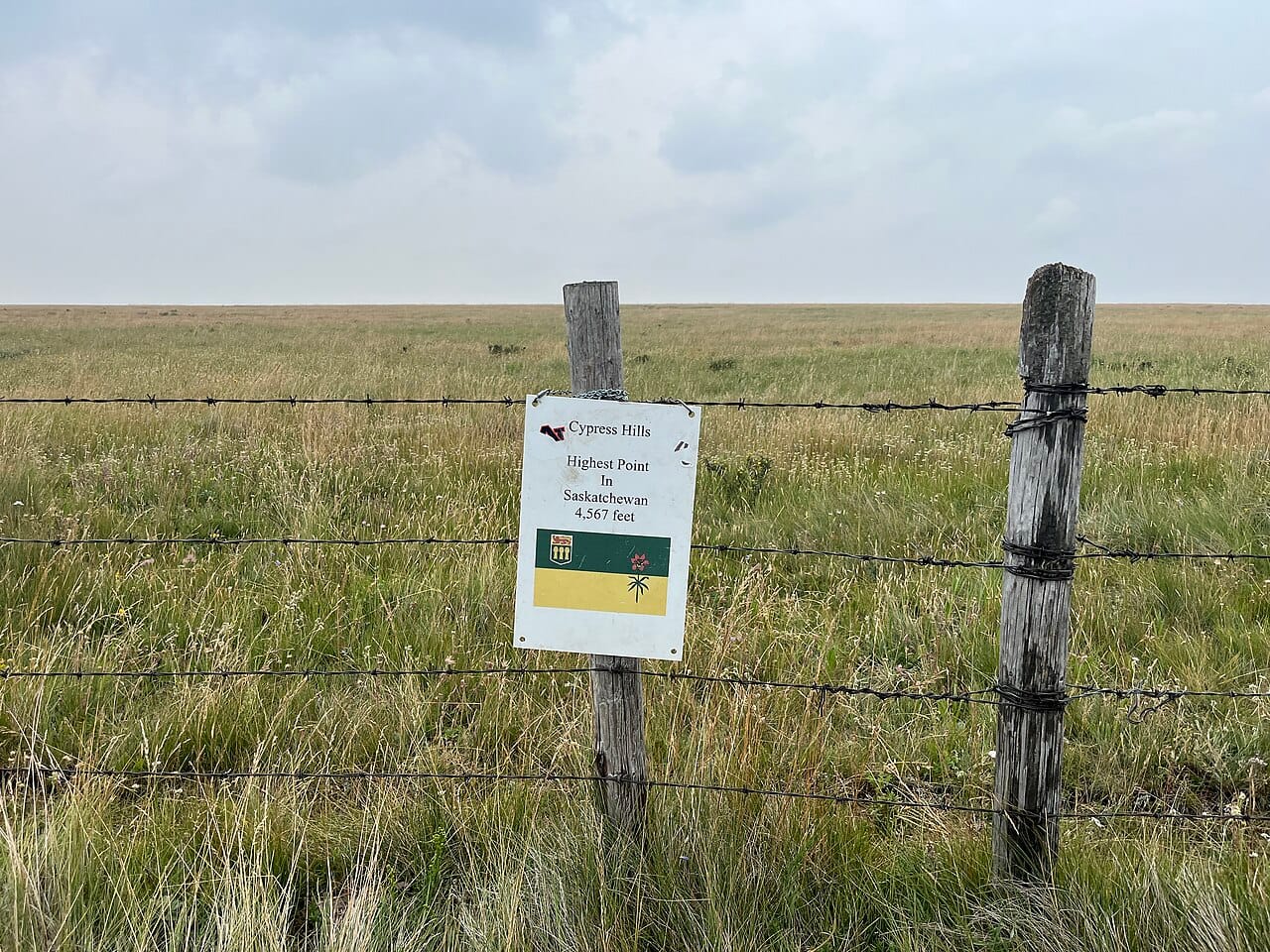 The Cypress Hills in the southwest, an upland of forest rising above the surrounding plains and the highest point in Saskatchewan. It is a rare break in a province famous for its flatness.