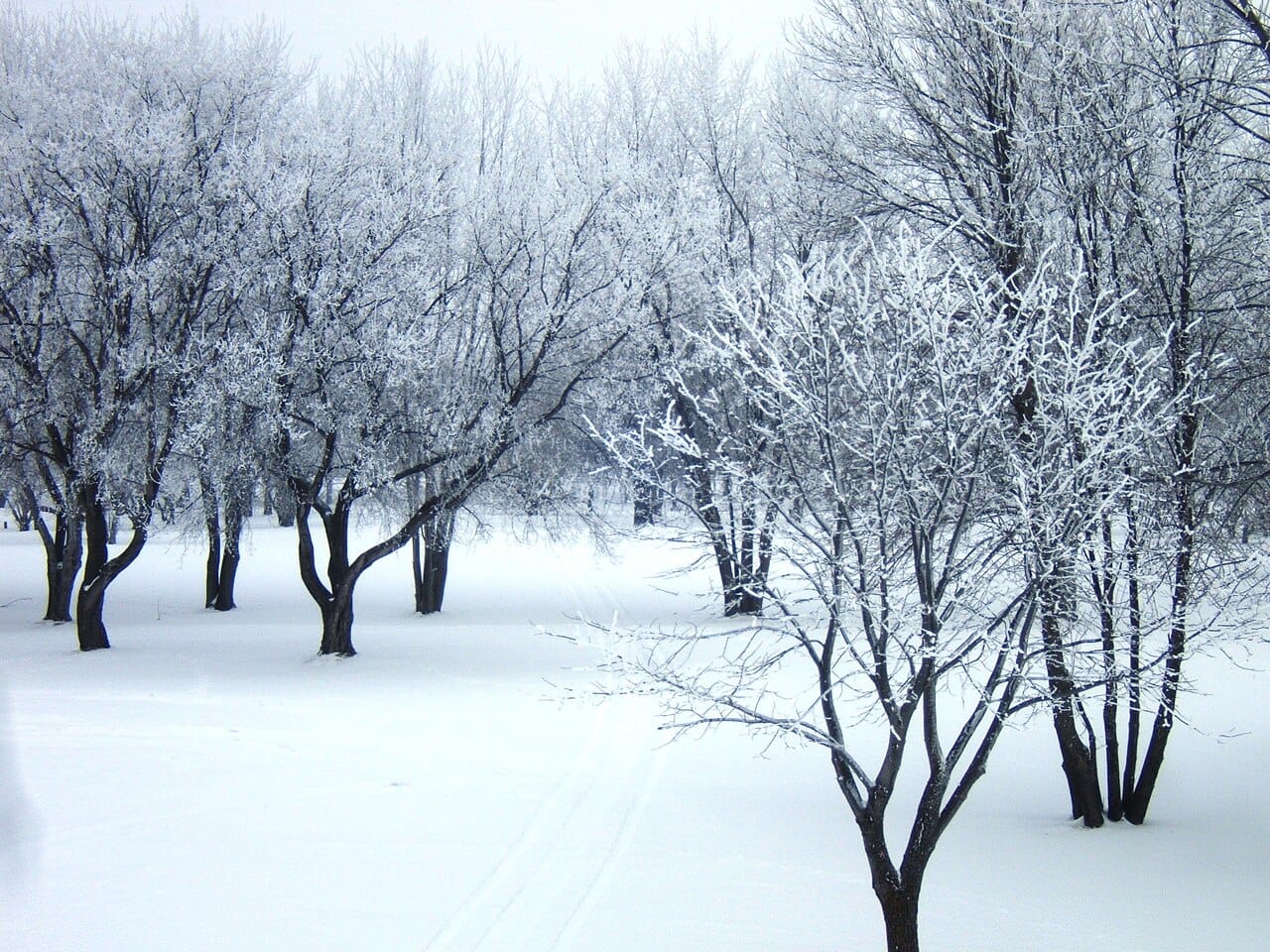 Selkirk Park in winter. The park on the riverbank is the focus of the city's recreation and of its winter events.