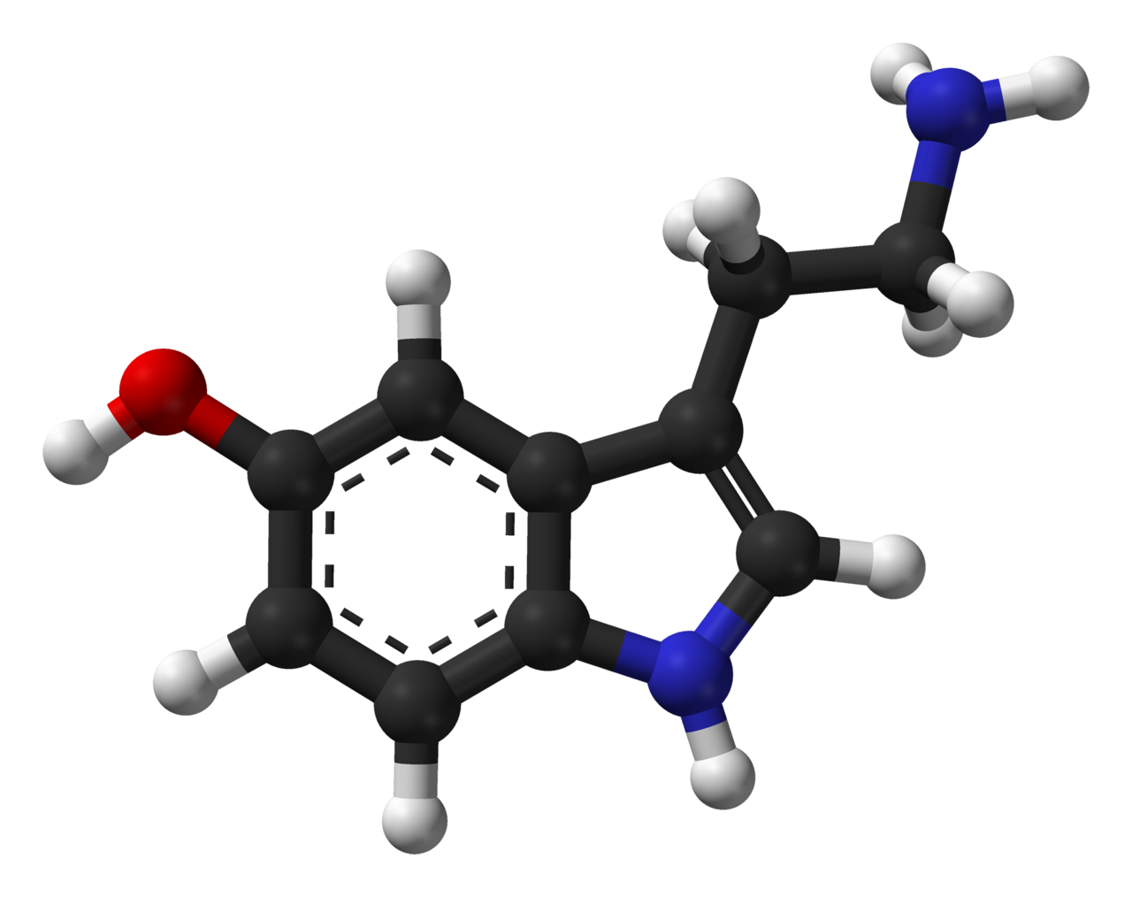 Serotonin. The hypothesis was inferred from the action of drugs that were already known to work, rather than from any measurement of serotonin in depressed patients.