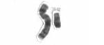 A human karyotype showing X and Y chromosomes. The Y is much smaller and carries far fewer genes, having lost most of them over evolutionary time.