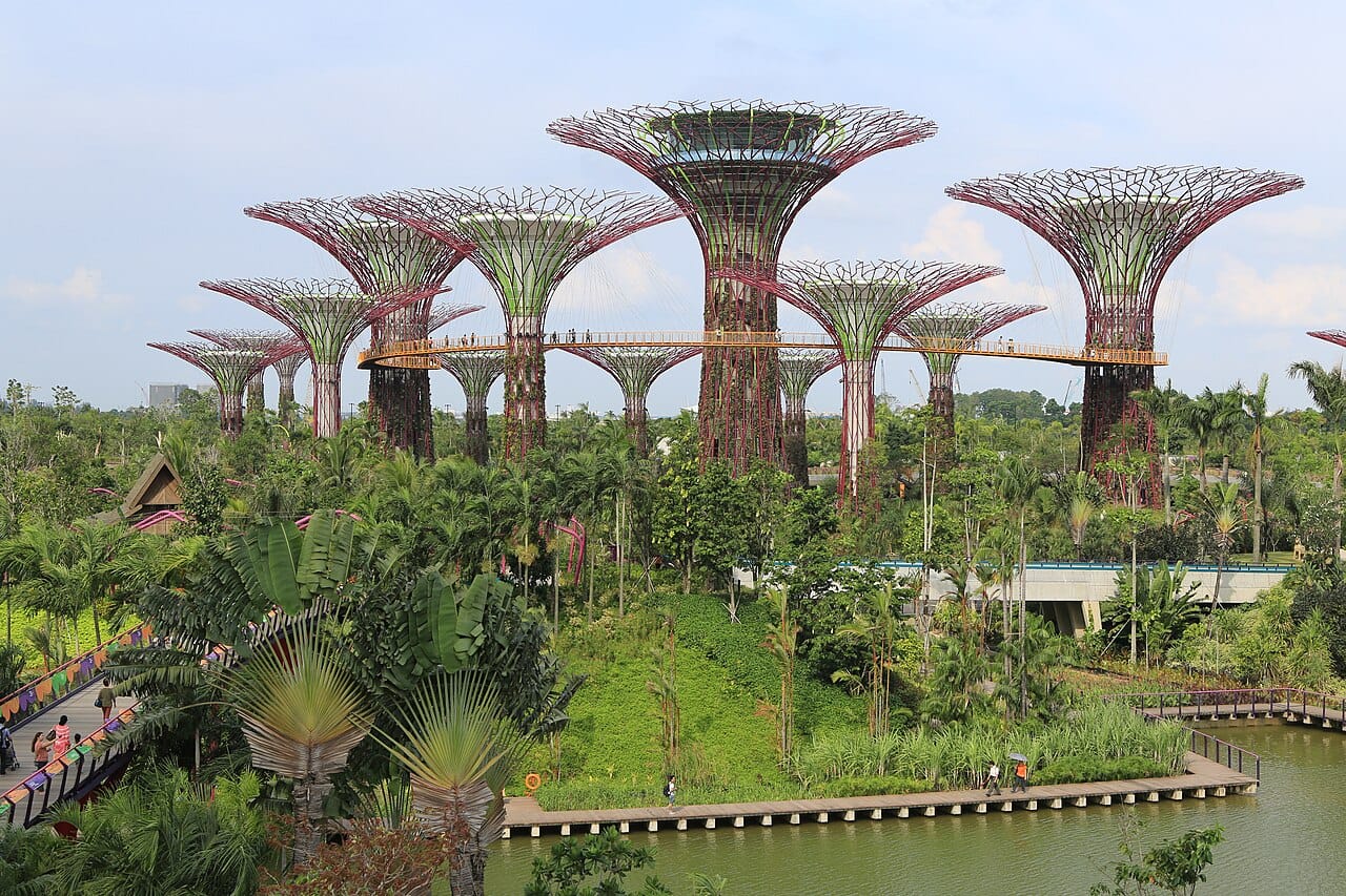 The Supertree Grove at Gardens by the Bay, built on reclaimed land beside the financial district. The vertical gardens collect rainwater and carry solar cells, and they are the showpiece of a state policy of greening that dates back to the 1960s.