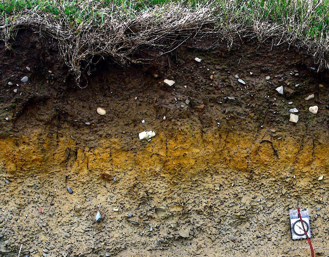 A soil profile. The horizontal layers develop over centuries as material is weathered, leached downward and accumulated, and they record the soil's history.