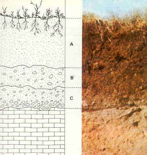 Soil structure. Mineral particles bound into aggregates create the pore network that holds water and air, and that structure is what distinguishes soil from ground rock.