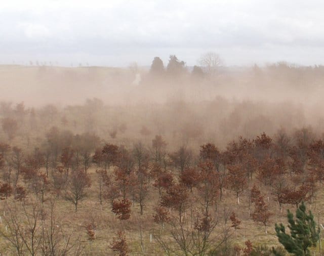 Erosion on cultivated land. Ploughing exposes bare soil to rain and wind, and losses under conventional tillage commonly exceed formation rates by a large factor.