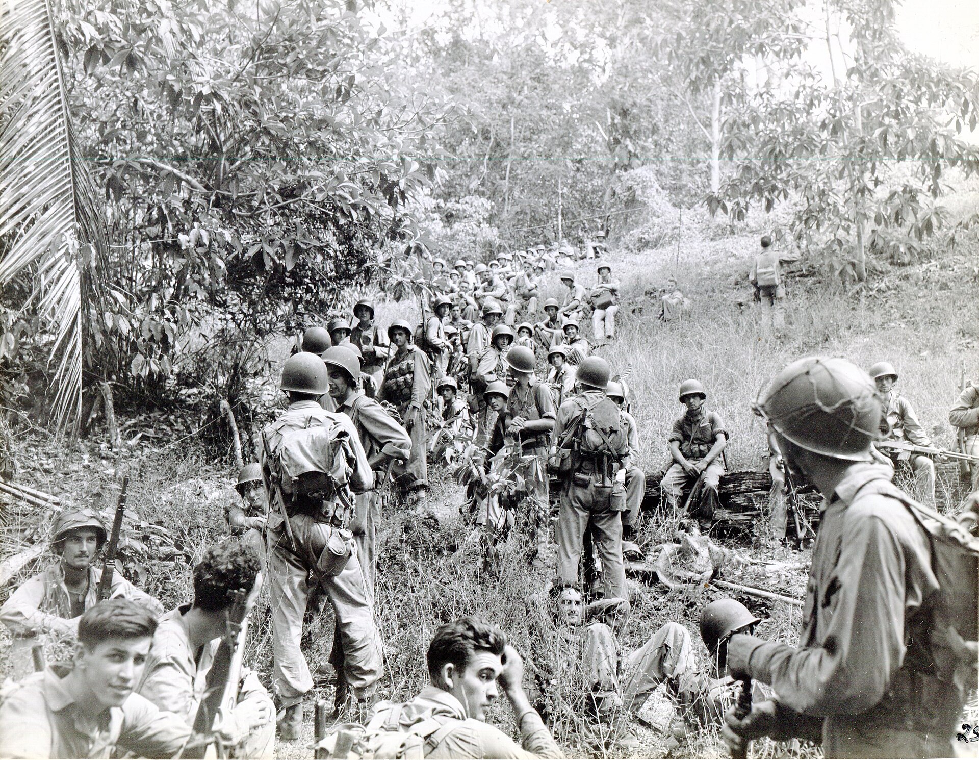 United States Marines moving up on Guadalcanal in 1942. The long campaign for the island was a savage turning point of the Pacific war, fought on land, sea, and in the air.
