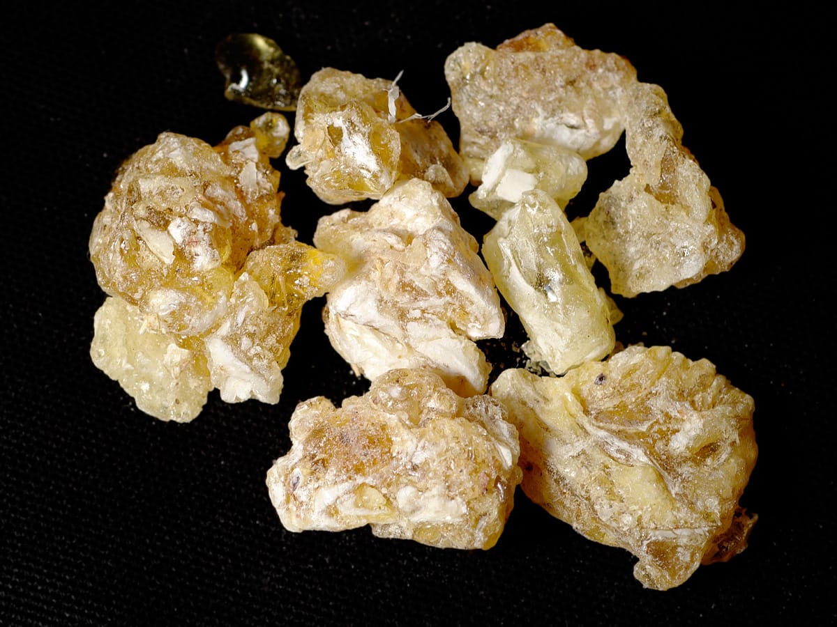 Frankincense resin, harvested from trees that grow in the dry hills of northern Somalia. The aromatic gum that made the region famous in antiquity, when it traded with Egypt and Rome, is still gathered and exported today.