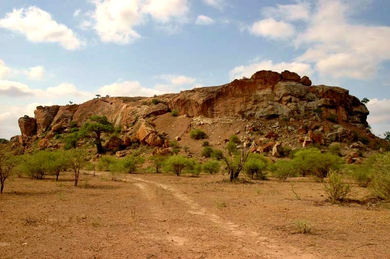 Mapungubwe Hill, capital of a wealthy southern African kingdom that traded gold and ivory around 1200 to 1300.