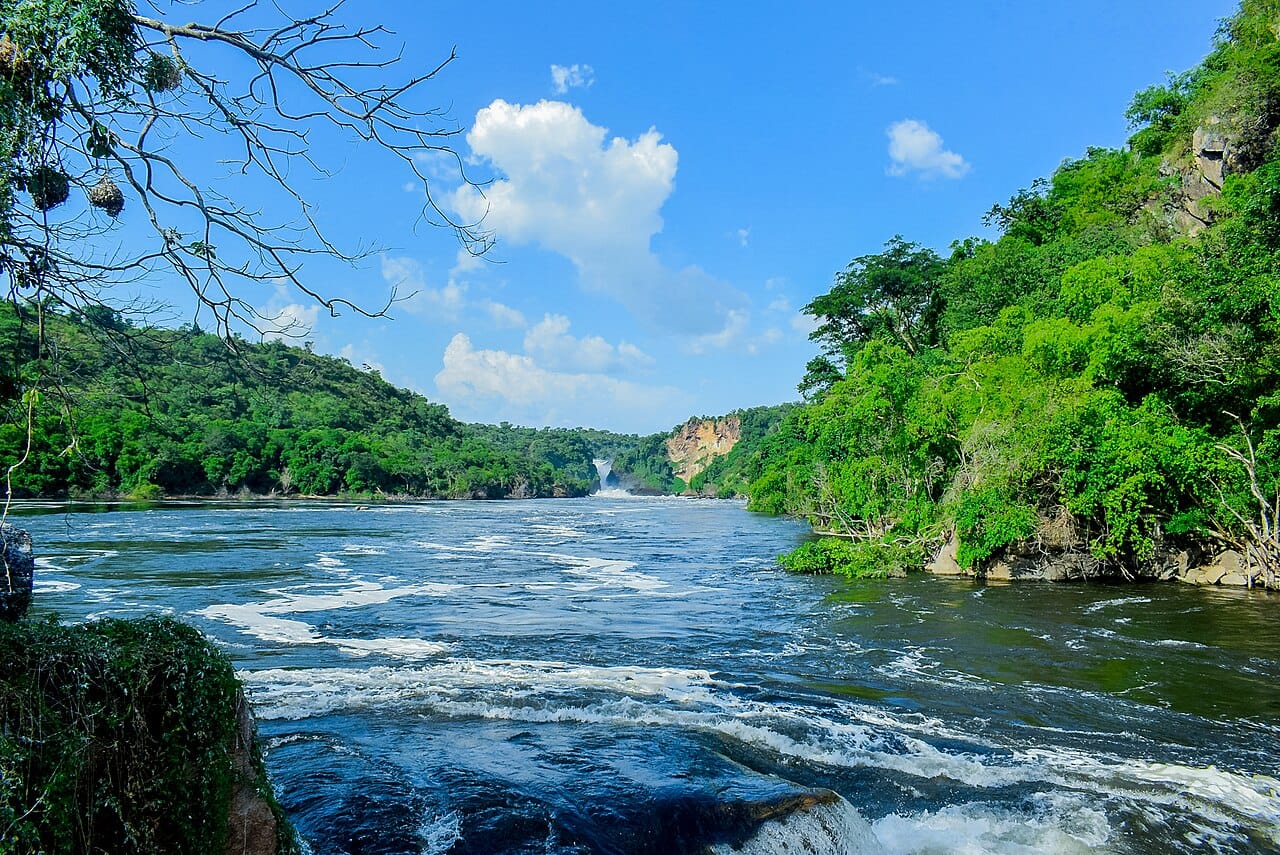 The Nile in South Sudan. The river is the country's spine, its principal transport route, and, through the Sudd, the reason the region remained beyond outside reach for so long.