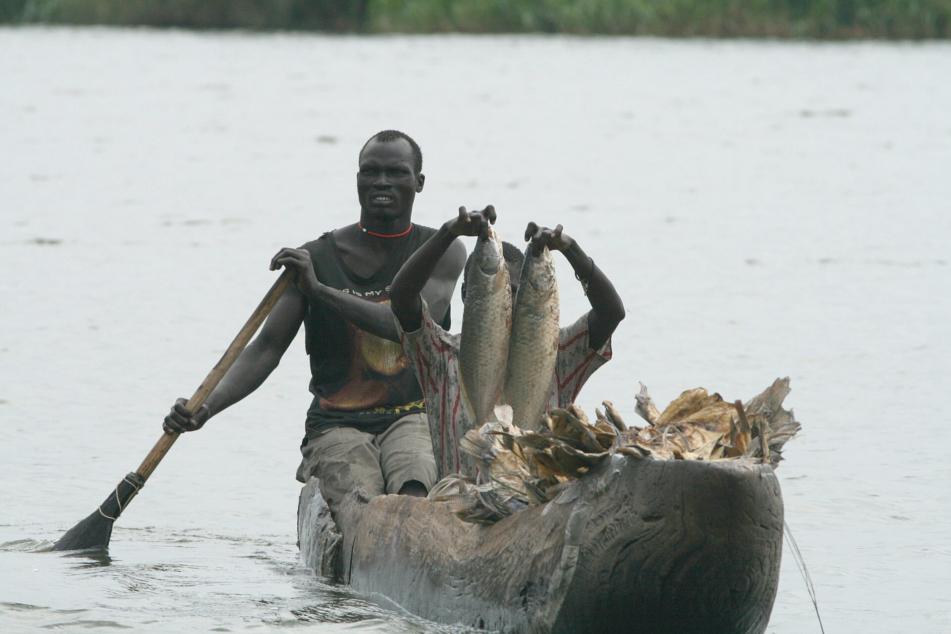 Fishing in the Sudd, one of the largest wetlands in the world, formed by the White Nile. Credit: Water, food and livelihoods in River Basins, Photographer: Karen Conniff (CC BY 2.0).