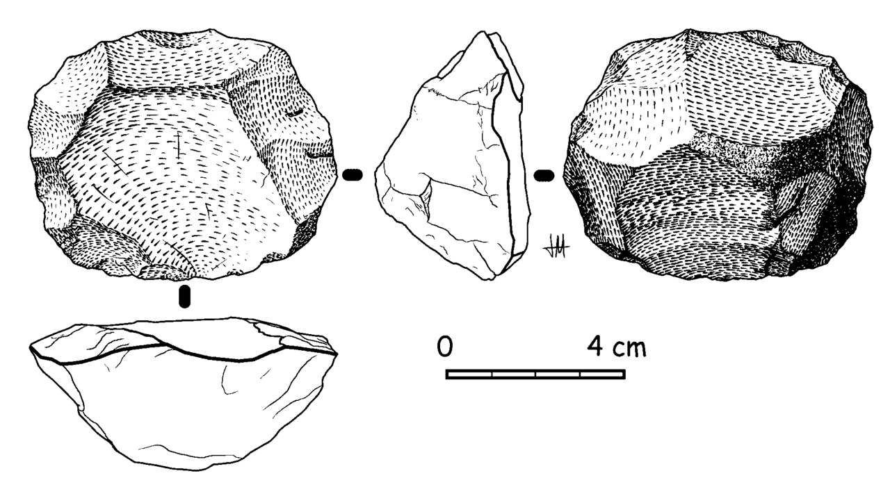 A prepared core of Levallois type. The core is shaped first so that a flake of predetermined form can be struck from it, which requires holding the finished product in mind throughout.