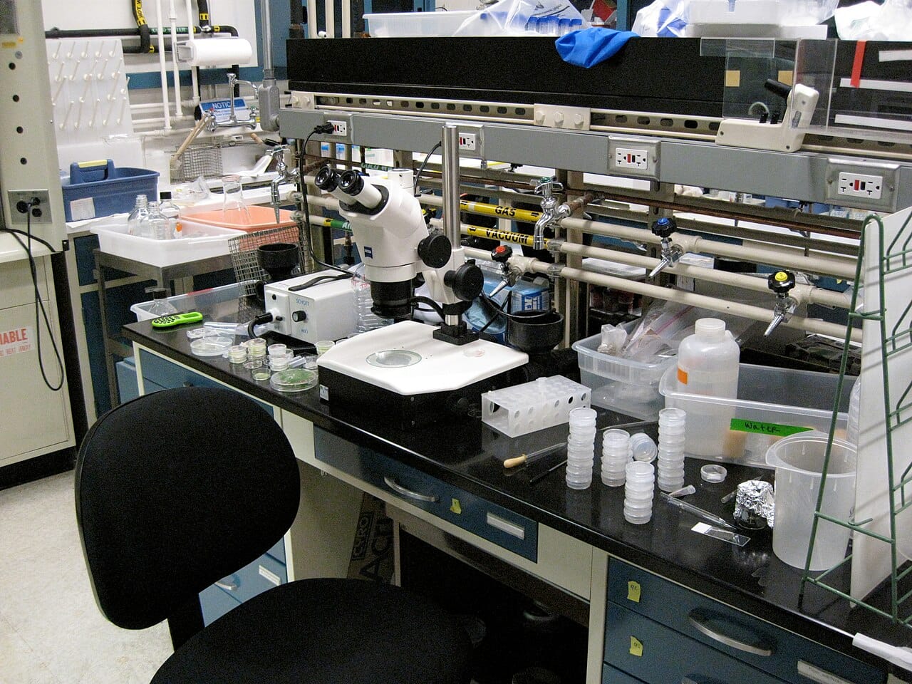 A synthetic biology laboratory. The work is closer to design and assembly than to the modification of one gene at a time.