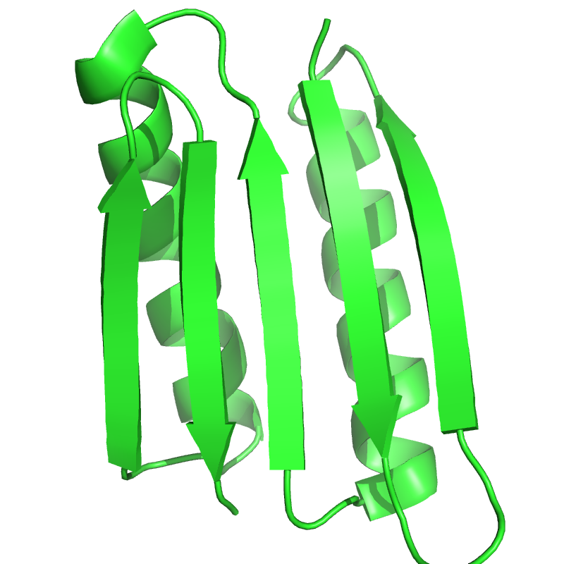 A computationally designed protein. Designing molecules with specified structure and function is among the field's clearest successes.