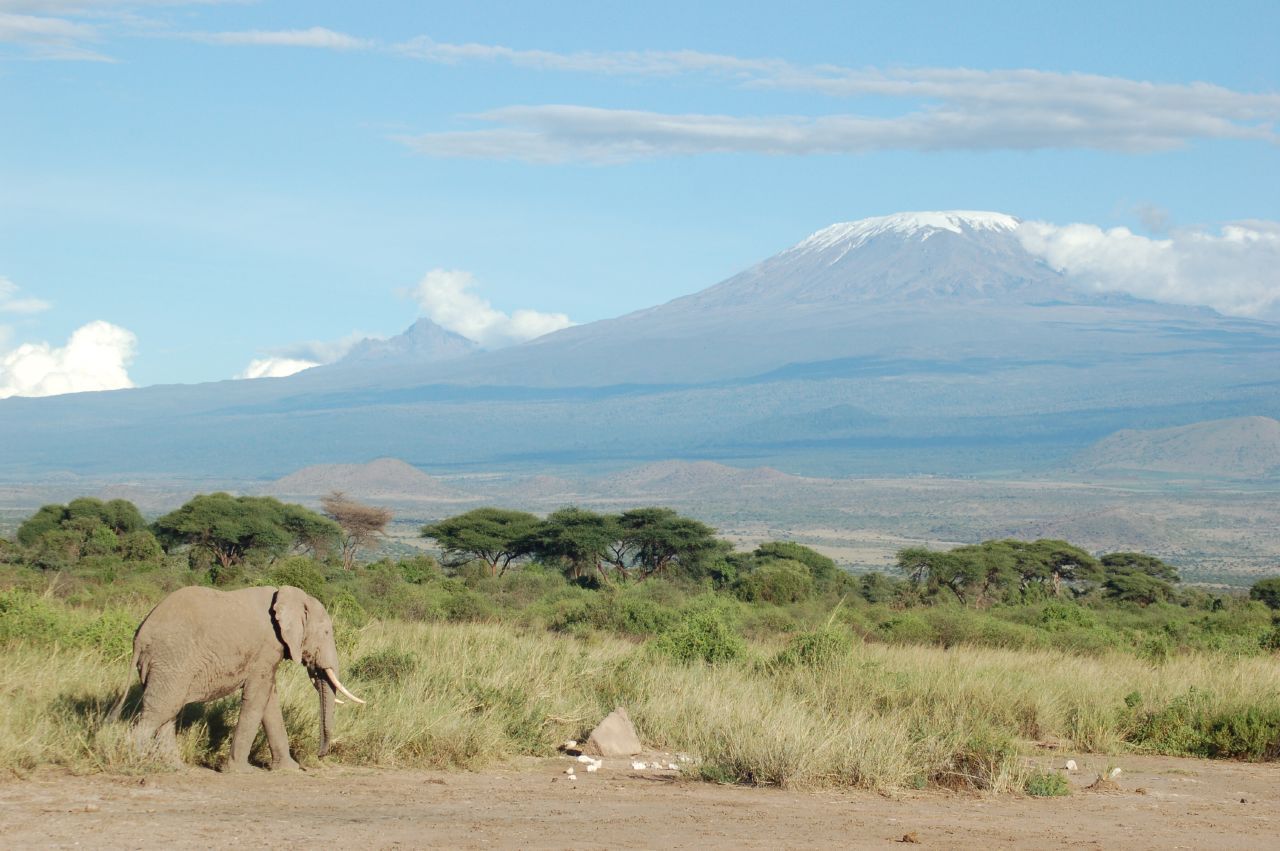 Elephants beneath Mount Kilimanjaro, the highest mountain in Africa, an iconic image of Tanzania. Credit: Charles Asik from Dar es Salaam, Tanzania (CC BY 2.0).
