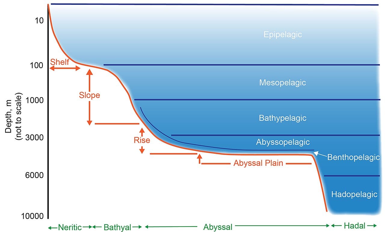 The vertical zones of the ocean. Light, pressure and temperature change with depth, and the boundaries between zones are defined by the first of these.