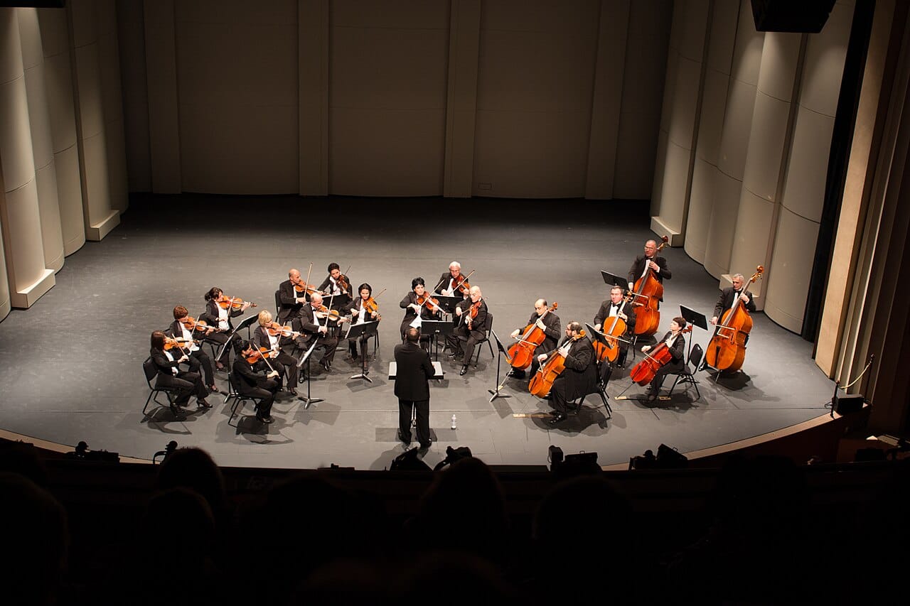 A chamber orchestra. Smaller ensembles use the same sectional structure, and the repertoire written for each size is distinct.