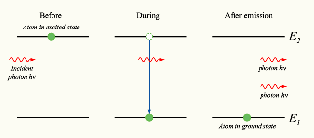 Stimulated emission. An incoming photon causes an excited atom to emit an identical one, which is the process a laser amplifies.