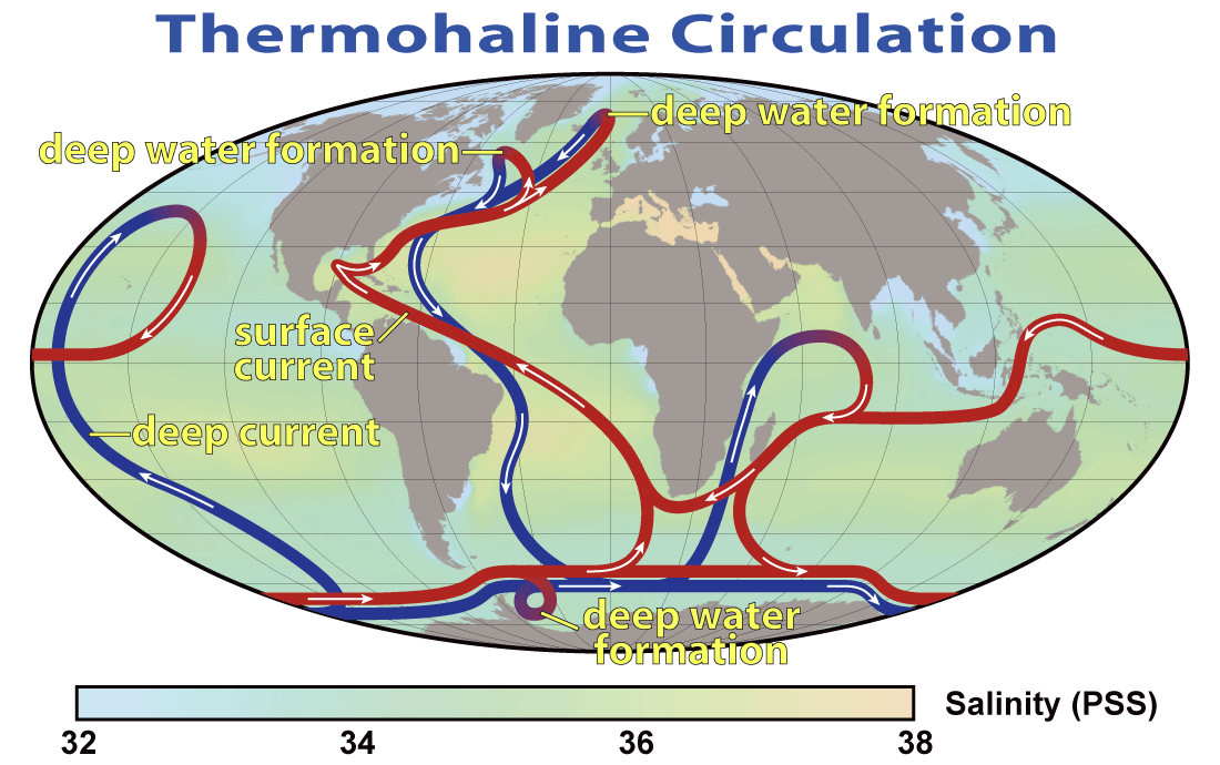 The global circulation in outline, with cold dense water sinking in the North Atlantic and around Antarctica and returning as warmer surface flow. A parcel of water takes roughly a thousand years to complete the circuit.