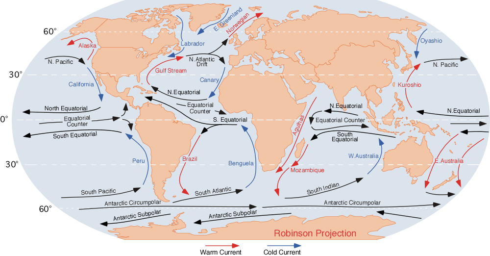 The global surface current system. Whether the Atlantic overturning is weakening is contested, since the direct record covers only two decades and proxy reconstructions disagree.