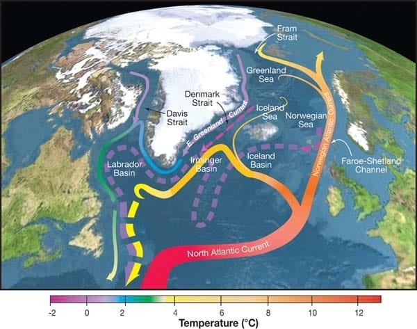 A schematic of the Atlantic overturning circulation. Its proposed feedback runs through salinity: freshwater dilutes the surface ocean, slowing the sinking that drives the whole system.