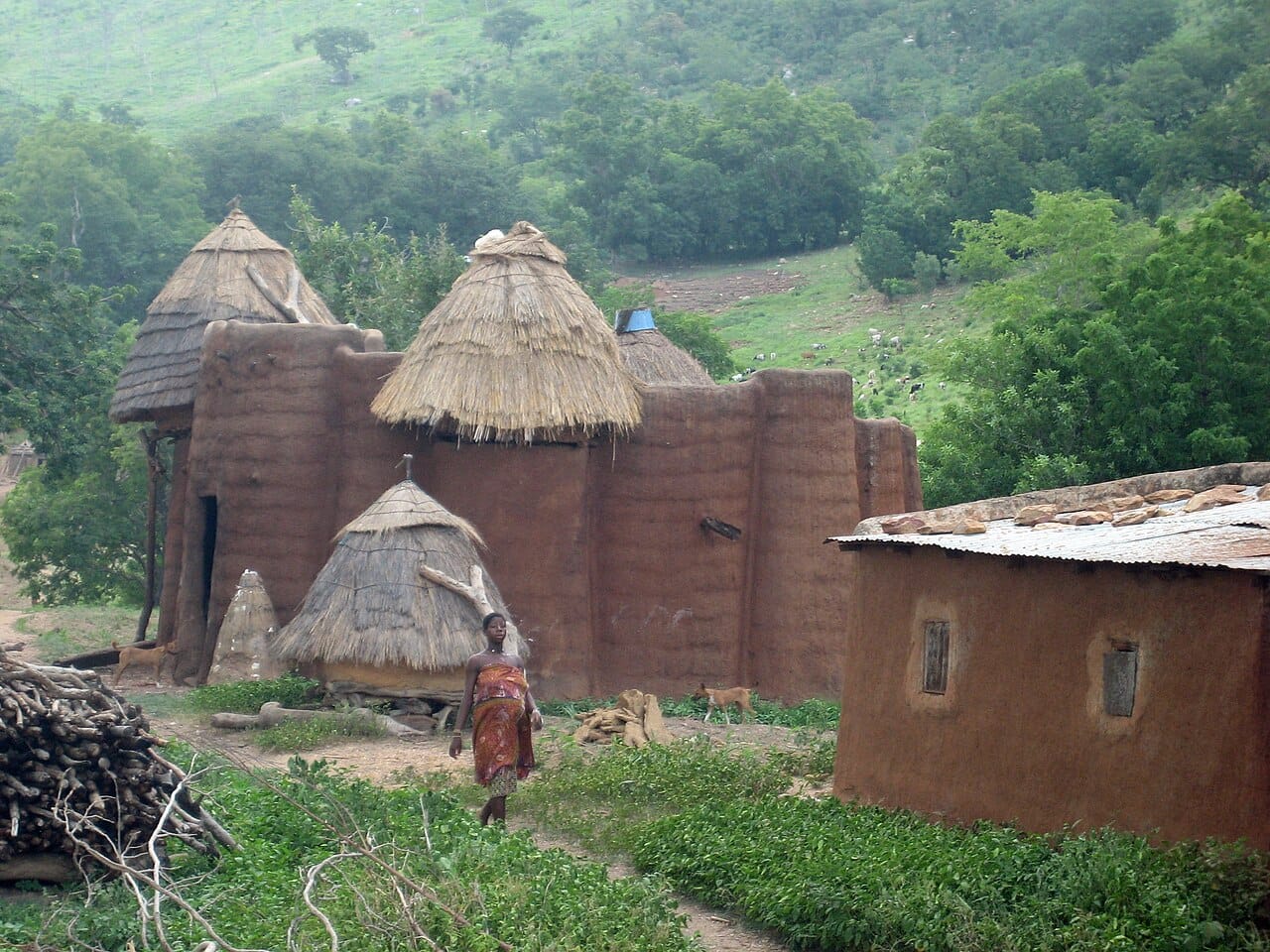 A takienta tower-house in Koutammakou, the Land of the Batammariba. Built of mud as dwelling, granary, and fortification in one, these structures are a UNESCO World Heritage site and one of Togo's defining images.