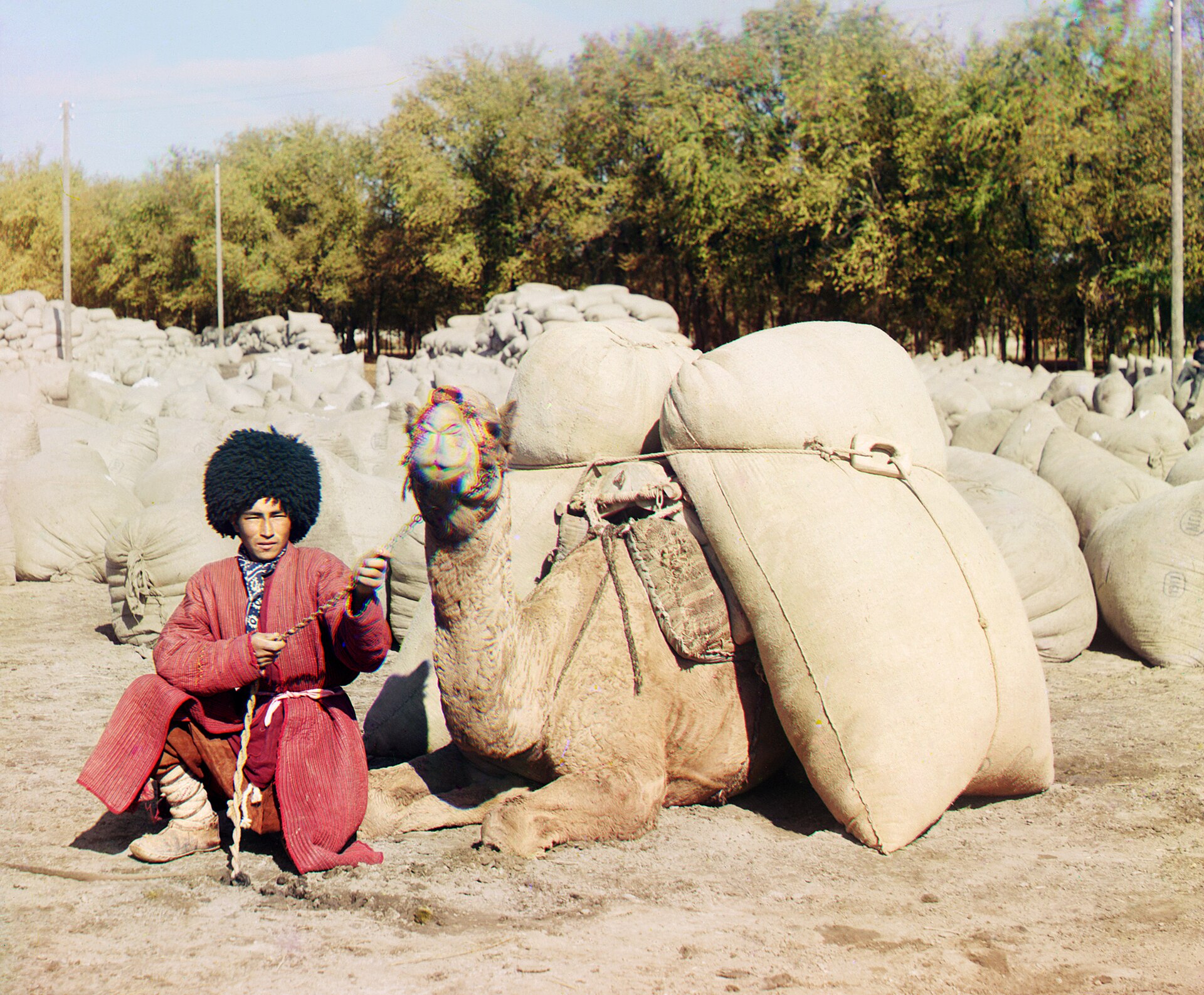 A Turkmen man in traditional clothing, reflecting the nomadic heritage of the Turkmen people. Credit: Sergei Prokudin-Gorskii (Public domain).