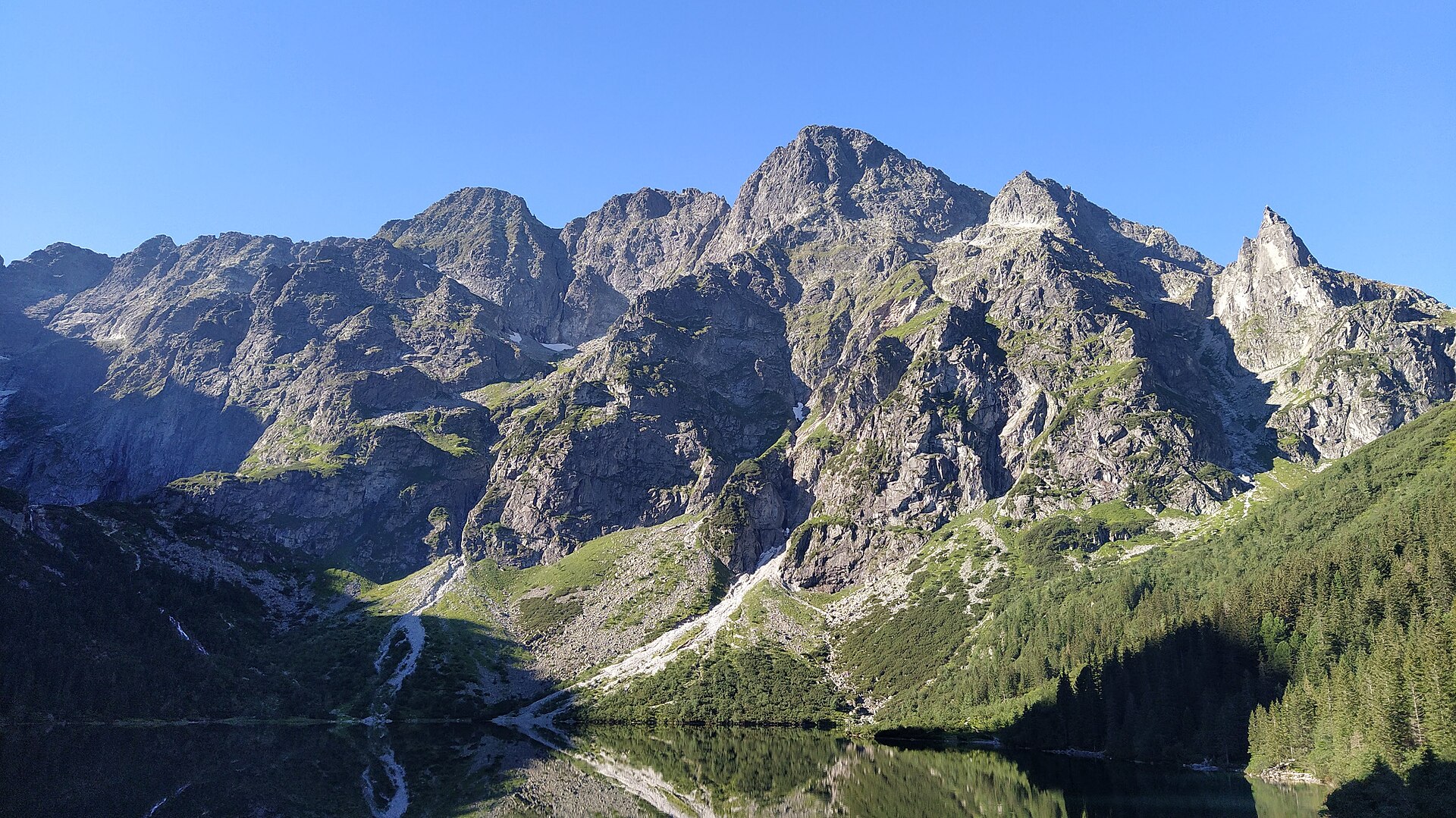 The Carpathian Mountains of western Ukraine, a forested range that contrasts with the country's vast plains.