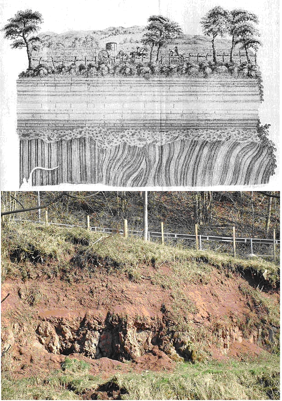 Tilted strata in a sea cliff, the kind of evidence used to argue for deep time.