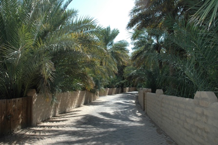 A shaded alley in the oasis of Al Ain, watered by an ancient system of underground channels. Oases like this sustained settled life and date farming in the desert for thousands of years before the age of oil.