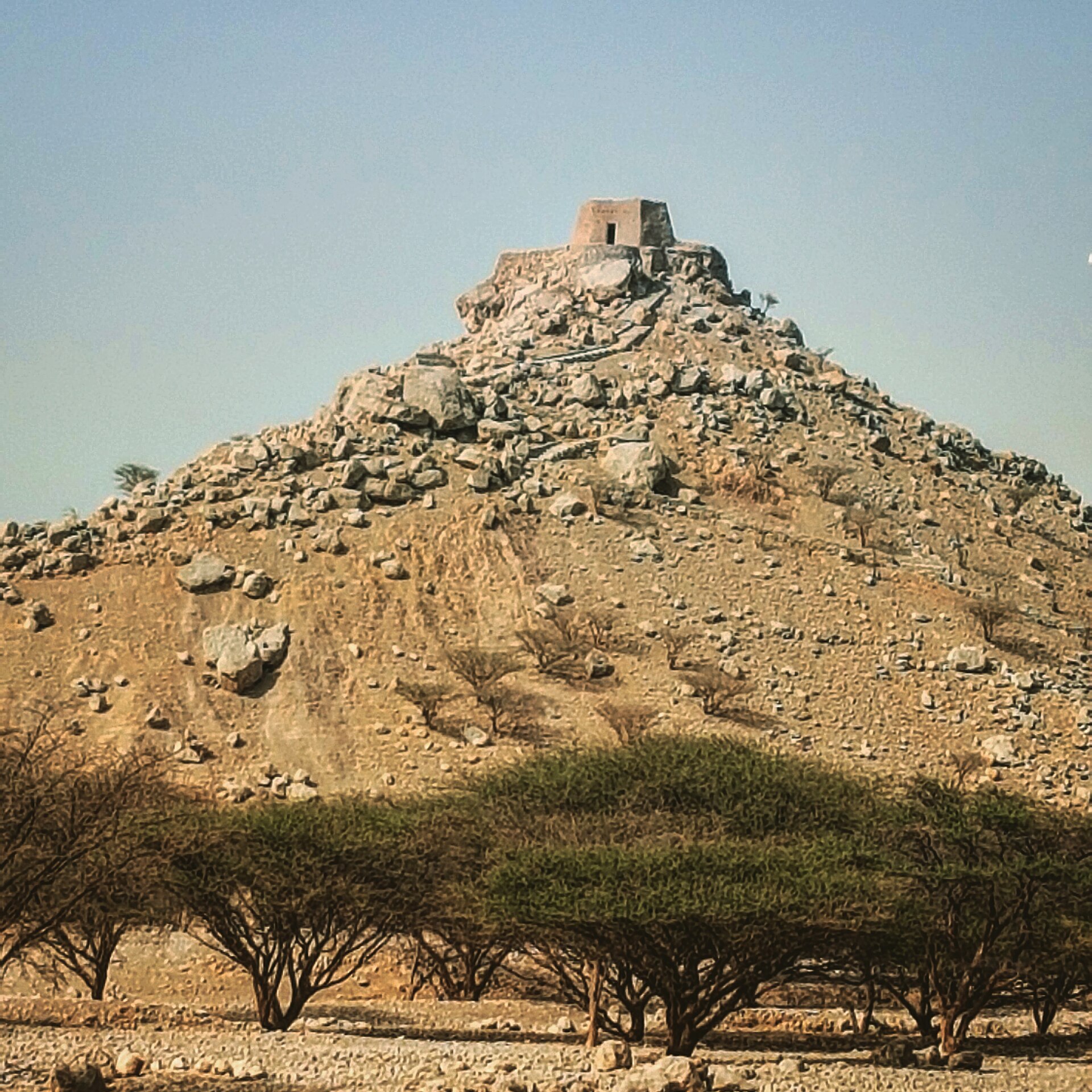 Dhayah Fort on its hilltop near Ras Al Khaimah, the last stronghold to hold out during the British campaign of 1819. Mud-brick forts like this were the strongholds of the ruling families of the old coast.