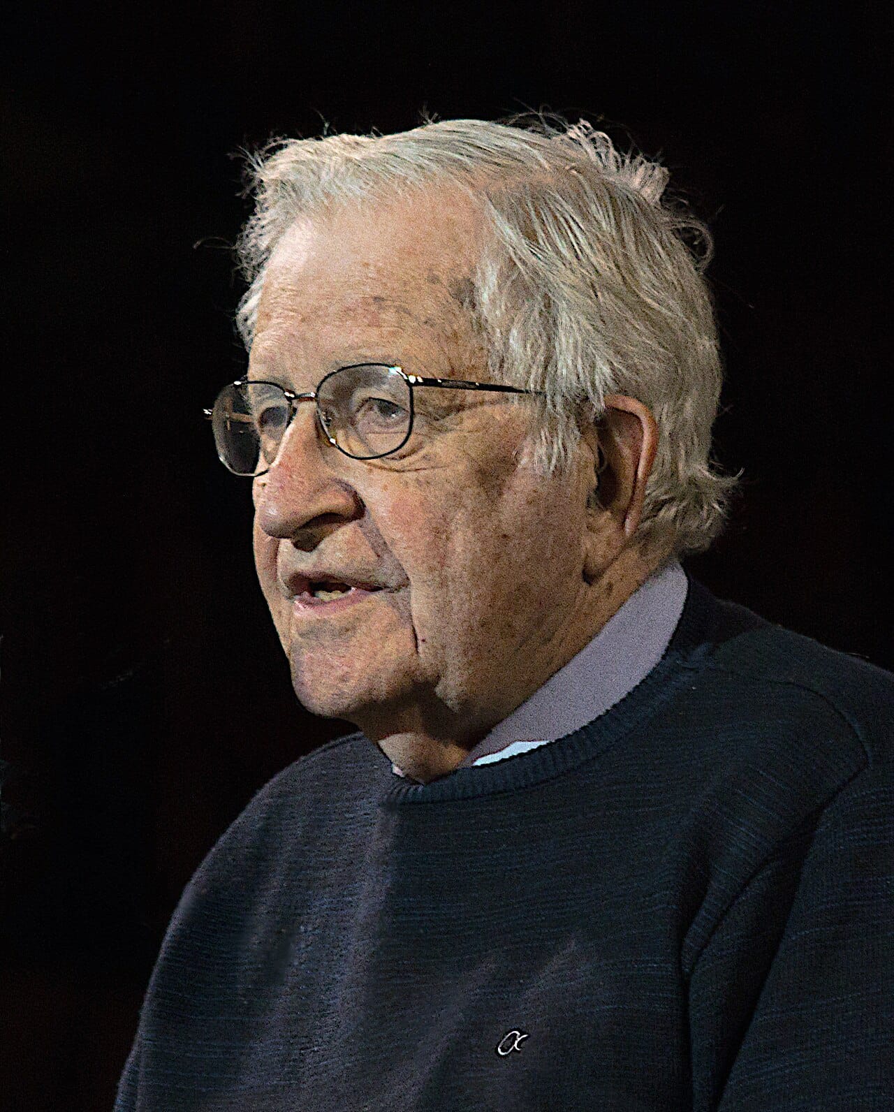 Noam Chomsky, who argued from the late 1950s that the human capacity for language is innate and specific, rather than a general application of learning ability.
