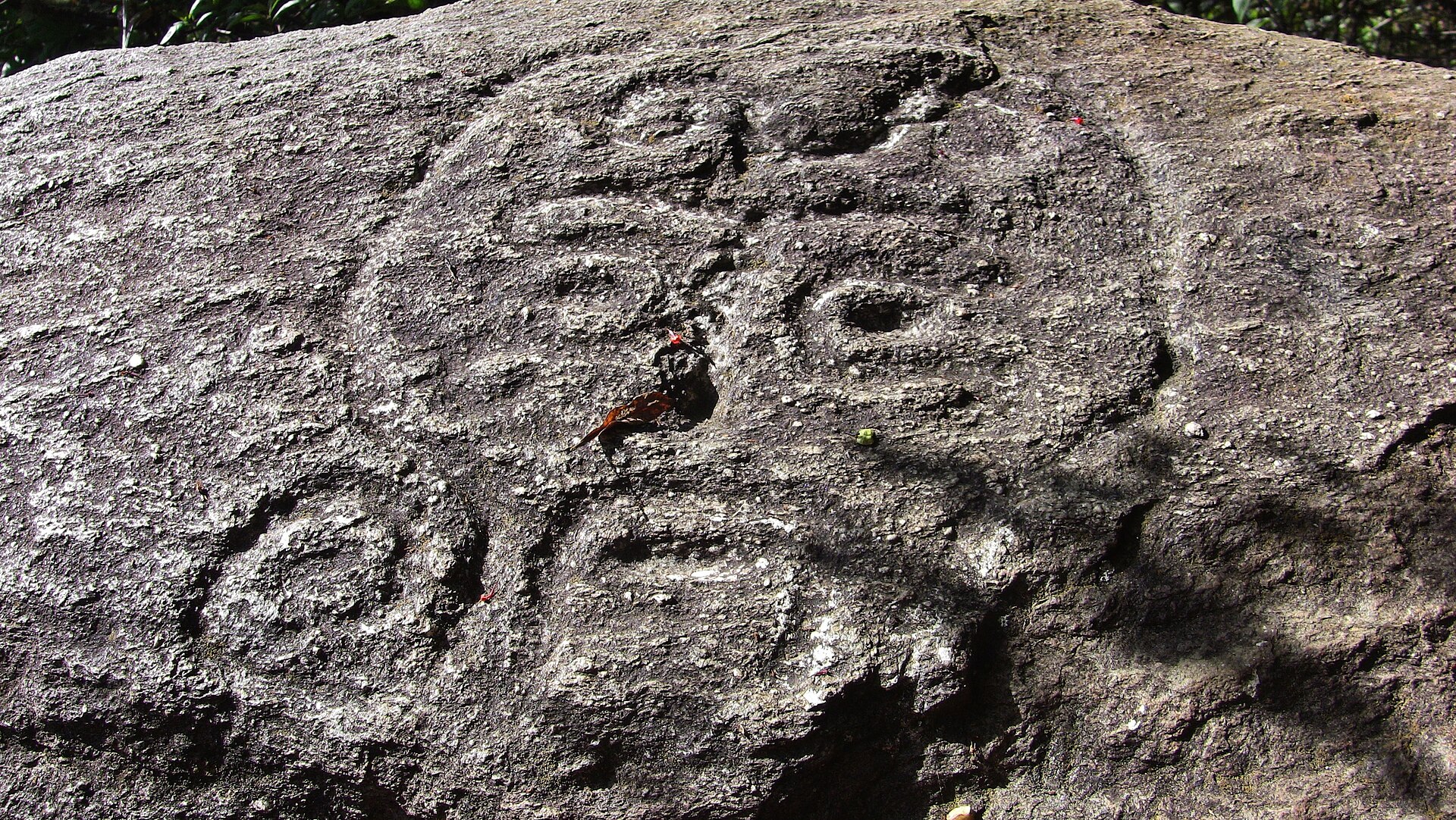 An ancient petroglyph carved into rock in Venezuela. The country's indigenous peoples left such images across the landscape long before Spanish colonisation.