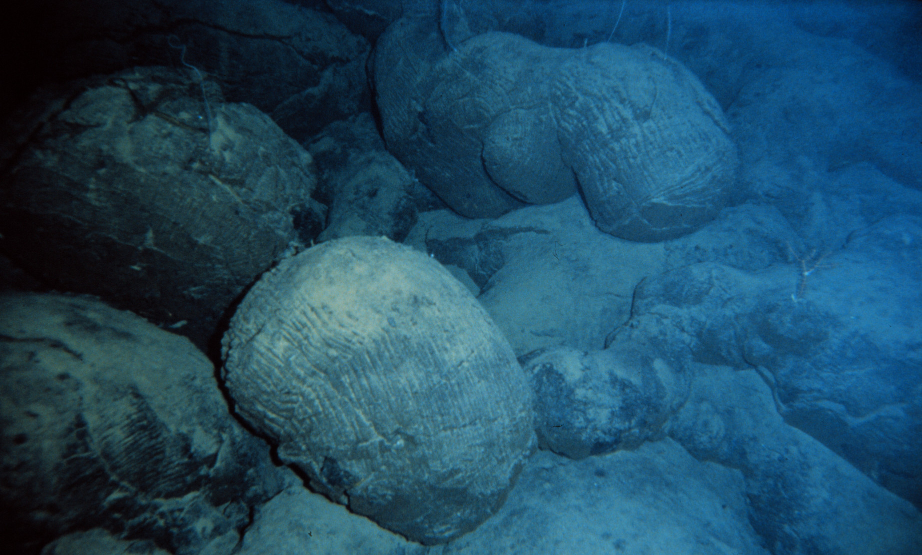 This pillow basalt on the seafloor near Hawaii was formed when magma extruded underwater. Other, much older pillow basalt formations provide evidence for large bodies of water long ago in Earth's history. Credit: National Oceanic and Atmospheric Administration (Public domain).