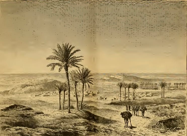 An oasis at Tindouf in an 1880 engraving. The desert's wells and pasture governed movement across a region whose inhabitants knew it intimately and where borders drawn on maps meant very little.