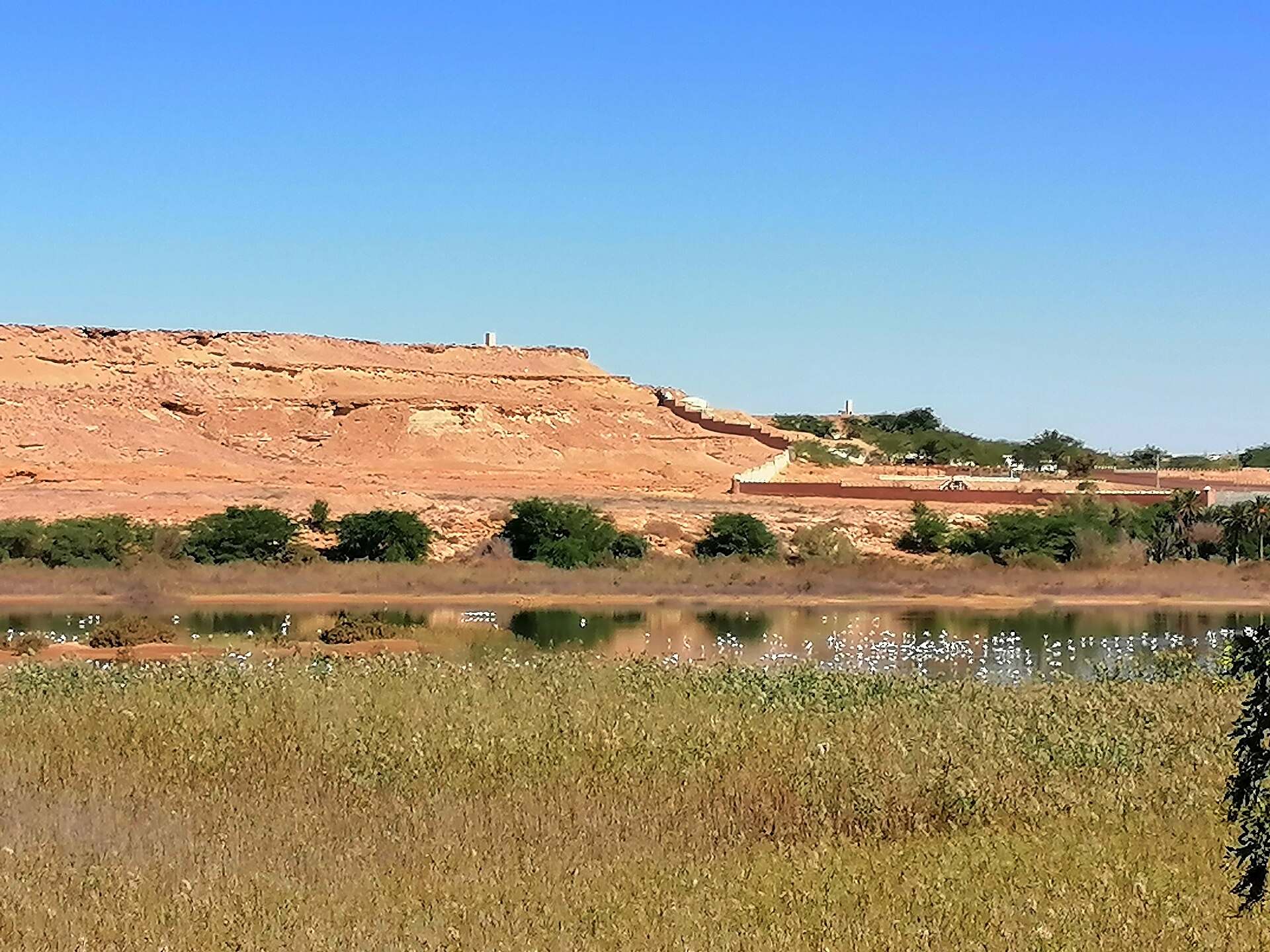 An intermittent desert lake in Western Sahara, a rare feature in one of the most arid and sparsely peopled lands on Earth. Credit: ZAINEB HACHAMI (CC BY-SA 4.0).