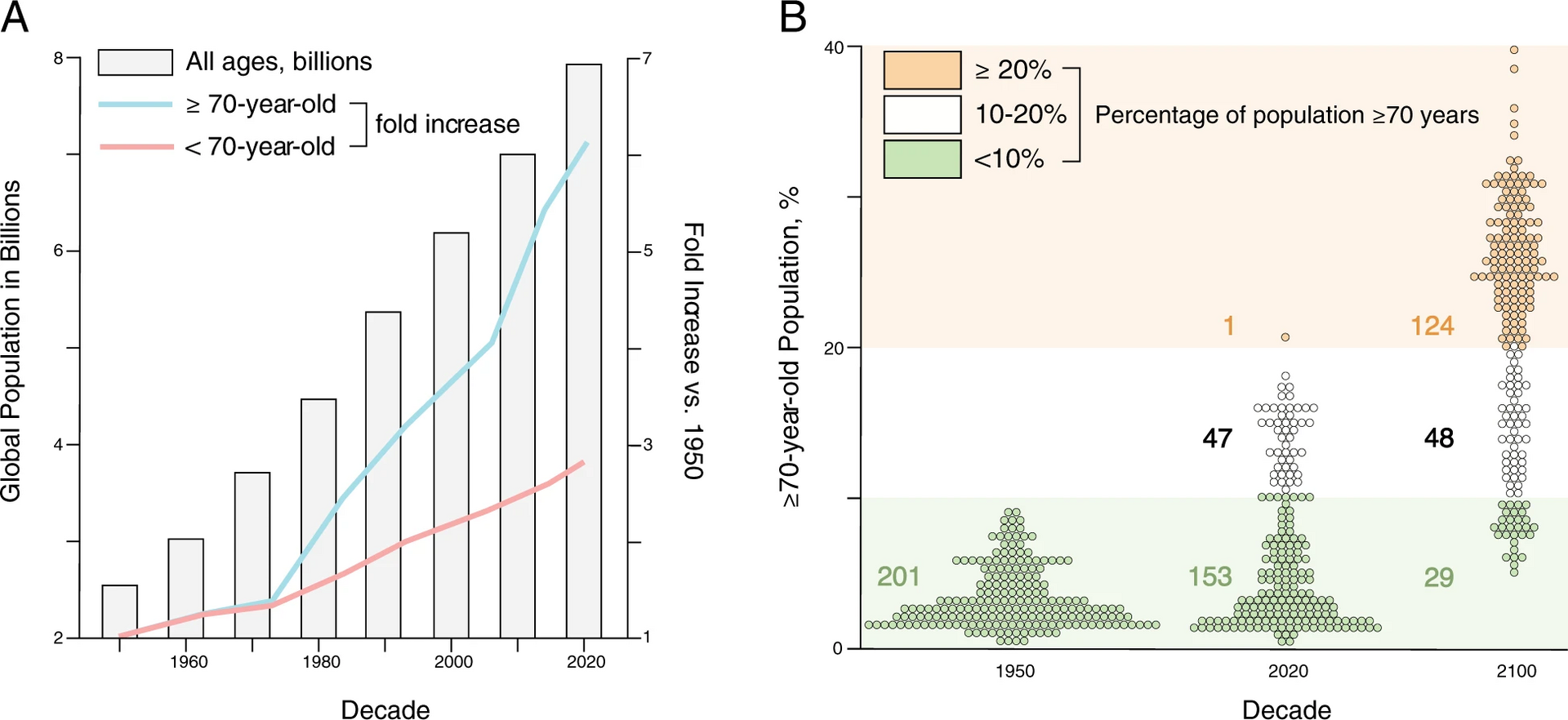 As more people live to advanced ages, the human population is steadily ageing.
