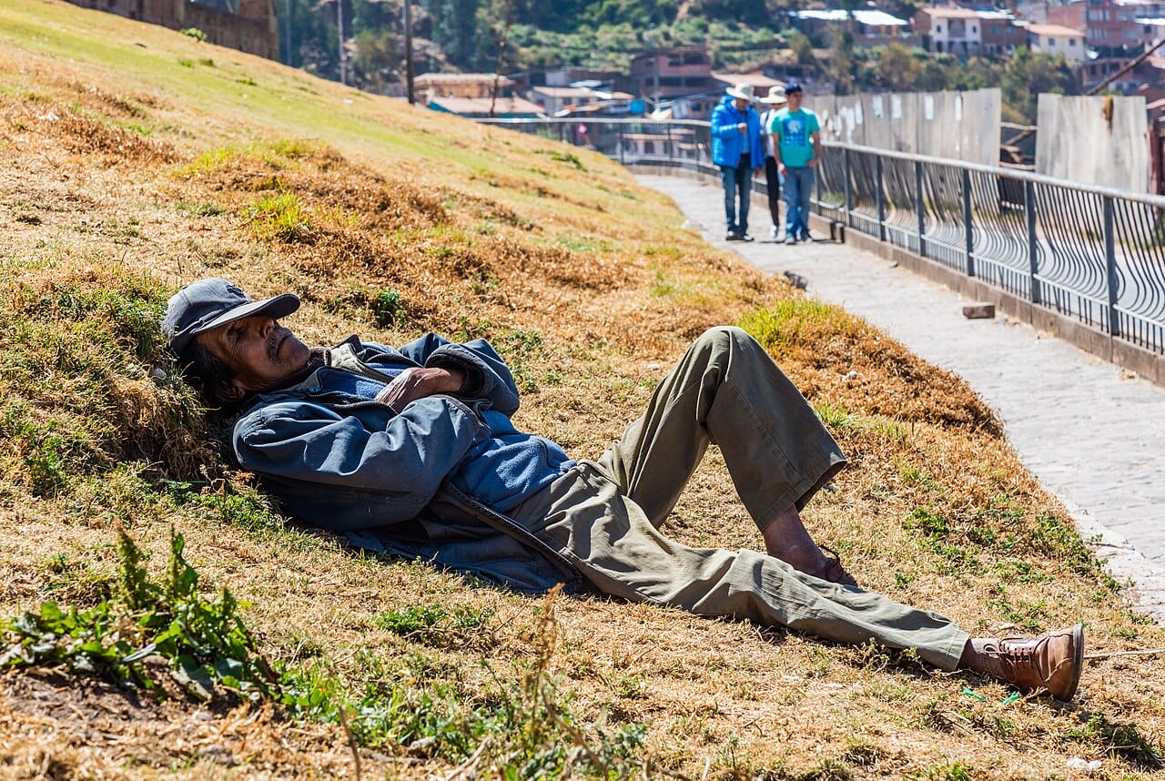 A man asleep during the day. Sleep is behaviourally obvious and functionally opaque, and the ease of observing it is unrelated to the difficulty of explaining it.